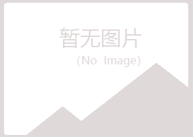 鹤山区无果美容有限公司